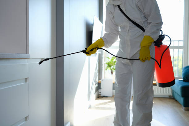 Professional Mold Remediation in Center Point, AL